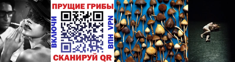 наркошоп  Арск  Псилоцибиновые грибы MAGIC MUSHROOMS 